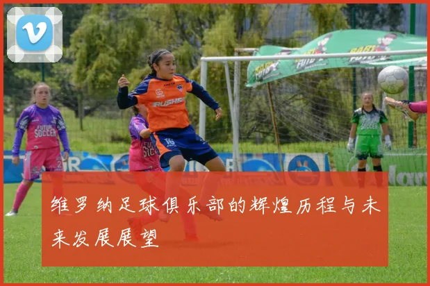 维罗纳足球俱乐部的辉煌历程与未来发展展望