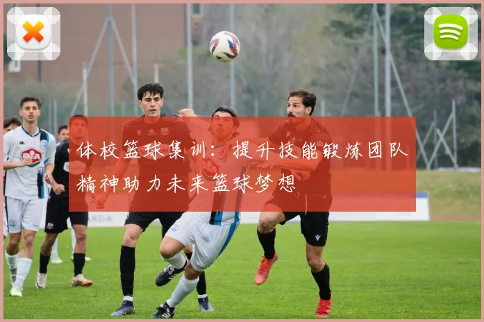 体校篮球集训：提升技能锻炼团队精神助力未来篮球梦想