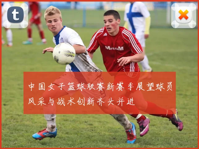 中国女子篮球联赛新赛季展望球员风采与战术创新齐头并进