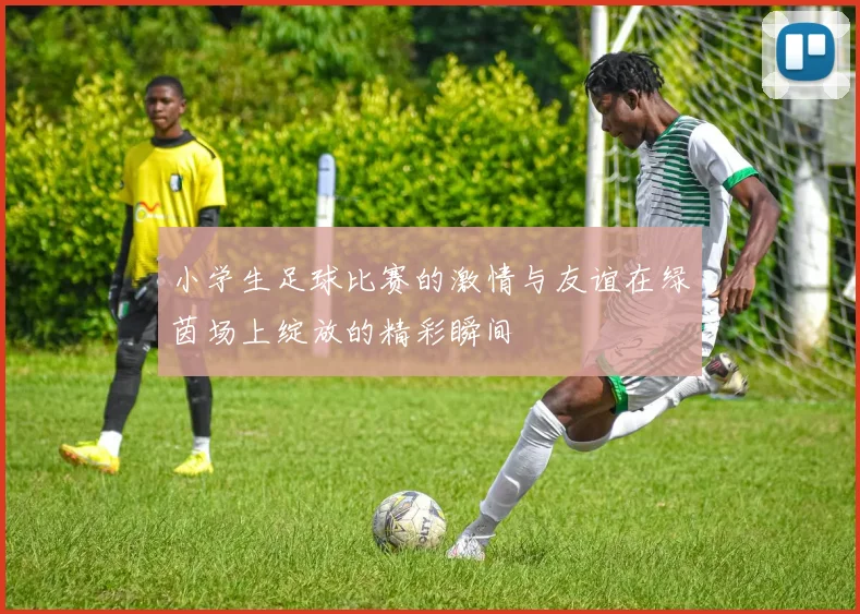 小学生足球比赛的激情与友谊在绿茵场上绽放的精彩瞬间
